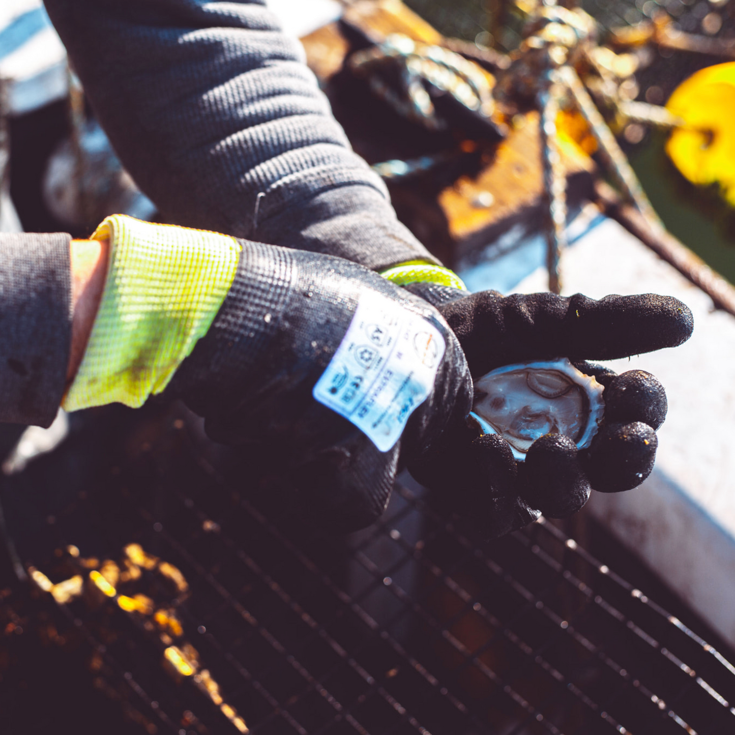 04-545 Extraflex® Gloves